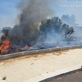 Incendio nell'agro di Bisceglie