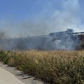 Incendio a Bisceglie, zona Lama di Macina