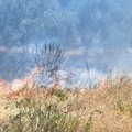 Incendio nei pressi dell’uscita Bisceglie Sud