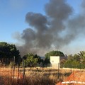 Incendio fra Bisceglie e Trani, a poca distanza dal Ponte Lama