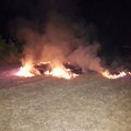 Incendio presso Torre Calderina: a fuoco erba e sterpaglie