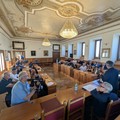 Monitoraggio Xylella a Bisceglie, negativi gli esiti nei primi 400 metri