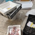 Intensificati i controlli amministrativi su ristorazione e commercio ittico