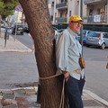 Taglio degli alberi a Bisceglie, Legambiente critica l’amministrazione