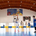 Gara 2 Lions Bisceglie-Piazza Armerina,  il match program
