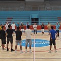 Lions Bisceglie, scatta la preseason
