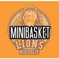 Minibasket Lions, via ai corsi e iscrizioni aperte