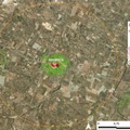 Xylella a Bisceglie: in Prefettura per seguire l'evoluzione