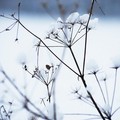 Possibili nevicate, allerta meteo diramata dalla Protezione Civile