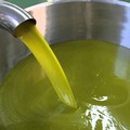 Olio extravergine d'oliva, consumo al top