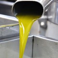 Sale la presenza di olio straniero in Puglia, Coldiretti: «Sos qualità»