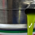 L'amministrazione convoca un incontro con i produttori della filiera olivicola
