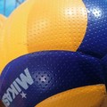 Rinviati due turni di campionato, la Star Volley tornerà a giocare a fine mese