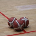Lions Bisceglie di scena a Matera nel weekend per il trofeo BCC Basilicata