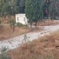 Francesco Spina critico sul parco delle Beatitudini: «Degrado e rischio incendi»