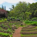 Rinviato il corso di Permacultura e Food Forest promosso da Abbraccio alla vita