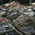Fermo pesca, boom di importazioni dall'estero