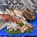 Seafood Expo Global, a Bruxelles anche il Consorzio per la tutela e la valorizzazione della filiera ittica di Bisceglie