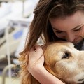 Primo caso in Puglia di pet visiting all'Hospice Universo Salute-Don Uva