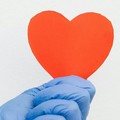 Pap Test Day: a Bisceglie screening gratuito