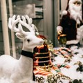 Confcommercio lancia "Natale in vetrina "
