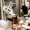 Confcommercio lancia  "Natale in vetrina "