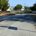 «Gli spazi verdi nei quartieri San Francesco e Seminario sono in totale degrado»