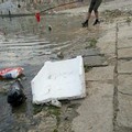 Rifiuti lungo le rive del porto, gli imprenditori di via La Spiaggia si rimboccano le maniche