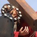“Statue, riti e tradizioni della Settimana Santa a Bisceglie”: pubblicata la prima guida alla Pasqua locale