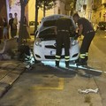Gatto salvato dai  Vigili del Fuoco in via Cavour