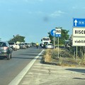 Strada bloccata sulla statale 16 per un incidente all'altezza di Bisceglie nord