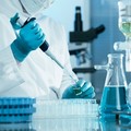 La rivista "Nature " pubblica gli studi sul cancro del biscegliese Mauro Di Pilato