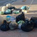 «Servizio di igiene urbana inqualificabile: penali inadeguate e mezzi non tracciati»