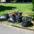 Arriva anche a Bisceglie il servizio di raccolta a domicilio degli sfalci vegetali