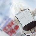«Forte carenza di sangue»: l'appello dell'Avis alla donazione