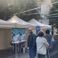 Screening cognitivi gratuiti in piazza San Francesco, Rotary Club: «Forte rispondenza dal territorio» - L'INTERVISTA