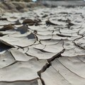 Allarme siccità, Unapol: «Non è solo un problema agricolo ma economico e sociale»