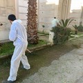 Intensi interventi di pulizia e manutenzione al cimitero. Foto