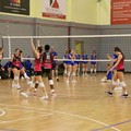 La Star Volley Bisceglie piega Riccione nell’andata del primo turno playoff