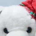 Teddy Bear Toss Di Pinto Panifici, venerdì la consegna dei peluches presso il reparto di pediatria dell’ospedale