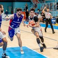I Lions Bisceglie ospitano l'ambiziosa Monopoli al PalaDolmen
