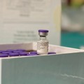 Vaccini anti-Covid, Lopalco: «Somministrate oltre 10800 dosi»