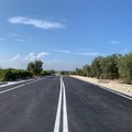 I comuni di Bisceglie e Molfetta sottoscrivono i protocolli di intenti della Zes