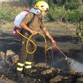 Rogo di sterpaglie e rifiuti spento dalle Guardie ambientali