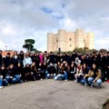 Prosegue il progetto Erasmus+ per il liceo  "Da Vinci " di Bisceglie