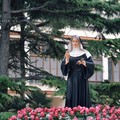 Festeggiamenti di Santa Rita della parrocchia di Sant'Agostino - IL PROGRAMMA