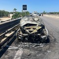 Traffico in tilt sulla SS16bis verso lo svincolo Bisceglie Nord