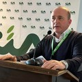 Crisi idrica anche nella BAT:  "Oliveti e rischio con lo stop irriguo”