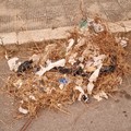 «Rifiuto abbandonato o sfalci non raccolti, che differenza c'è?»