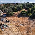 Intervento congiunto delle Guardie per l'Ambiente e la Polizia Locale a Bisceglie